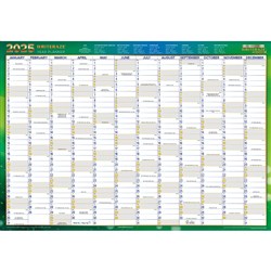 WRITERAZE RECYCLD WALL PLANNER 11880 500x700mm Year/View